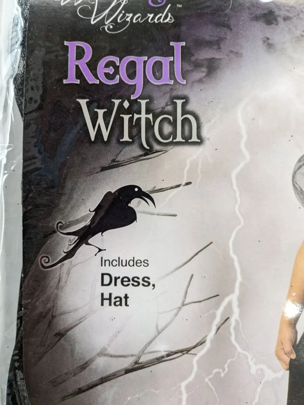 Rubies Witches & Wizards Regal Witch Child Dress Hat Set Costume Size 3/4 XSmall